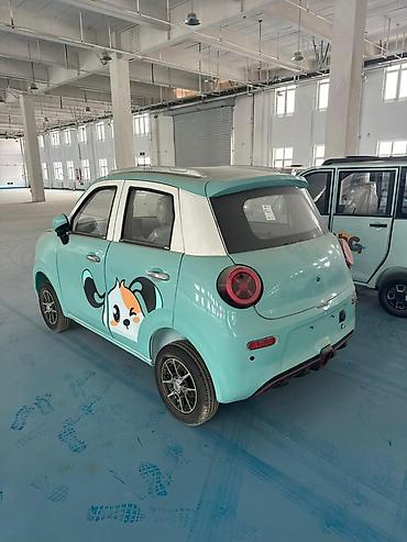 Microcar: Microcar : 2026 г., Электромобиль, Минивэн — 9