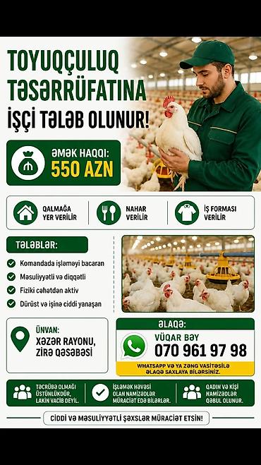 tap az derzi isi: Fermer, 18 yaş, Təcrübəsiz — 1