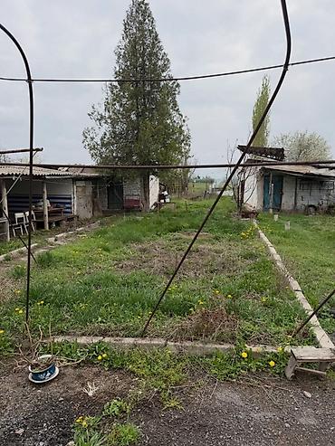 Продажа домов: Коттедж, с. Петровка (военный городок), ул. Фрунзе, 56/1. Кадастровый — 4