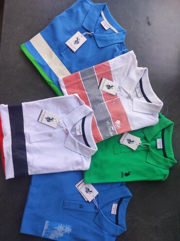 majica s: Men's T-shirt U.S. Polo Assn, M (EU 38), L (EU 40), XL (EU 42)