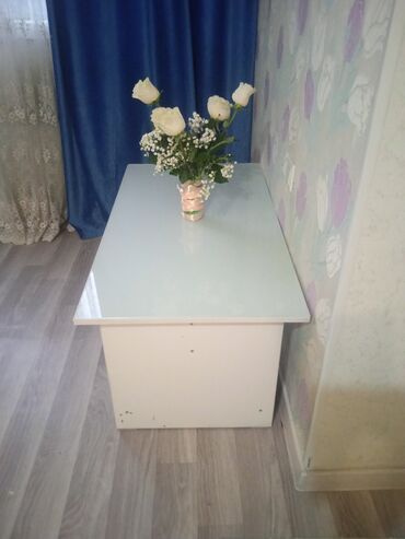журналные столы: Кухонный стол, Прямоугольный, Нераскладной, Стекляные