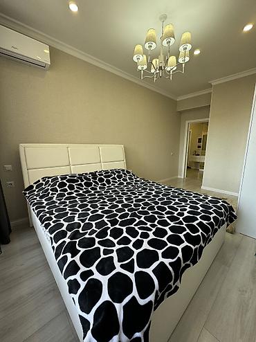 2 bedroom: 2 комнаты, Бишкек Парк ТРЦ Собственник, Без животных, от 6 месяцев, С мебелью полностью — 5