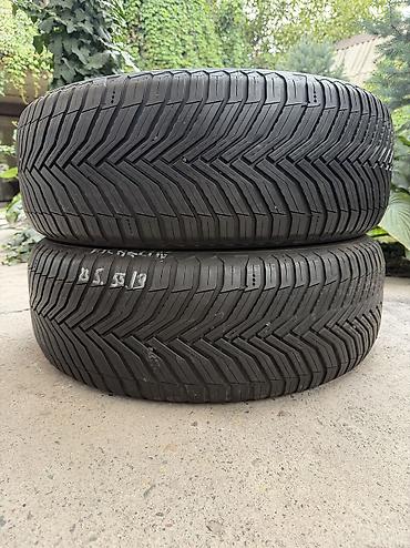 mishlen: Шины 235 / 55 / R 19, Лето, Б/у, Пара, Легковые, Япония, Michelin — 1