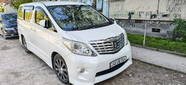 runx alex: Toyota Alphard: 2010 г., 3.5 л, Автомат, Газ, Вэн/Минивэн