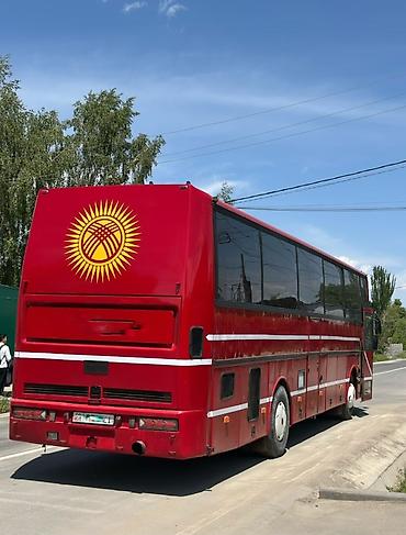i bus: Автобус, DAF, 40 и более мест — 3