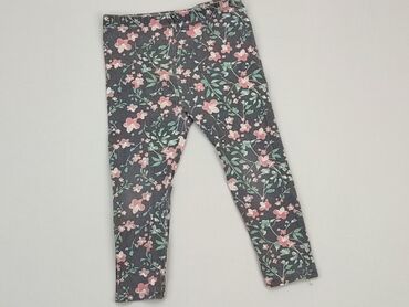 spodnie dla dziewczynki 140: Legginsy dziecięce, So cute, 2-3 lat, 92/98, stan - Dobry