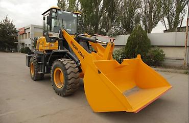 ловол 244: Погрузчик, 2024 г., Колесный, Ковшовый — 2