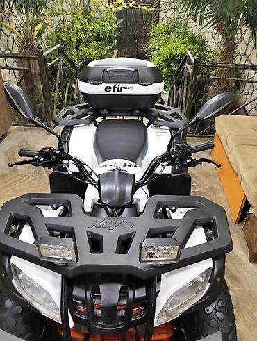 Kvadrosikllar: Kayo - 150 CC, 160 sm3 — 15