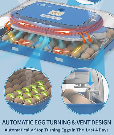 ручной инкубатор: Инкубатор для яиц с автоматическим управлением и LED-просветкой 70яиц — 5