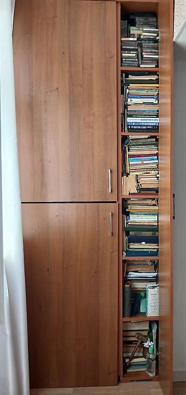 Kitablar və jurnallar: Kitab.“Tibbi Traktat. Atlas” – iri formatda, illüstrasiyalı nəşr.Kitab — 3