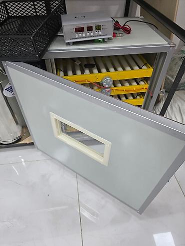 ZAVOD İSTEHSALI AĞILLI İNKUBATORLAR 💡 Tam Avtomatik Nəzarət Sistemi at lalafo.az — 7 ZAVOD İSTEHSALI AĞILLI İNKUBATORLAR 💡 Tam Avtomatik Nəzarət Sistemi — 7