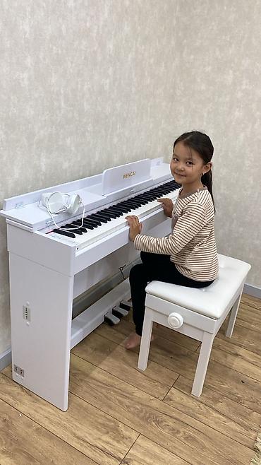 Пианино: Полноактавное акустическое пианино, цветной понятный дисплей, вы — 19