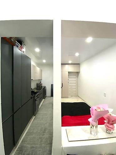 Долгосрочная аренда квартир: 1 комната, Агентство недвижимости, Без подселения, С мебелью полностью — 4