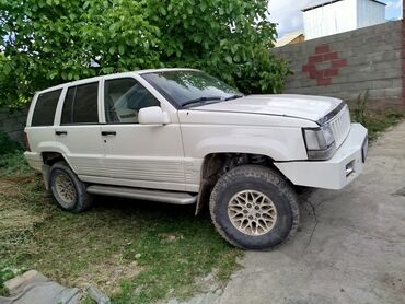 авриный авто: Jeep Cherokee: 1993 г., 3 л, Автомат, Дизель, Внедорожник