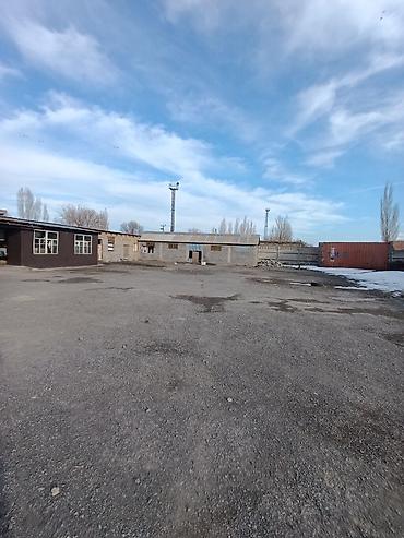 Продажа коттеджей и домов: 📌В селе Беловодское продается дом из 4-х комнат на участке 20 соток — 20