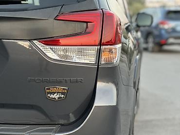 форестер субаро: Subaru Forester: 2022 г., 2.5 л, Автомат, Бензин, Кроссовер — 4