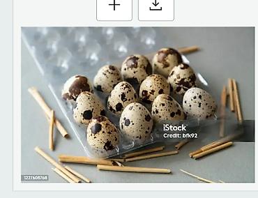 роллы суши: Продаю тушки перепелов так же пищевое яйцо 5 сом, и инкубационное — 1