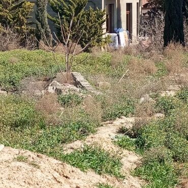 Torpaq sahələrinin satışı: 16 sot, Tikinti, Mülkiyyətçi, Kupça (Çıxarış) — 13