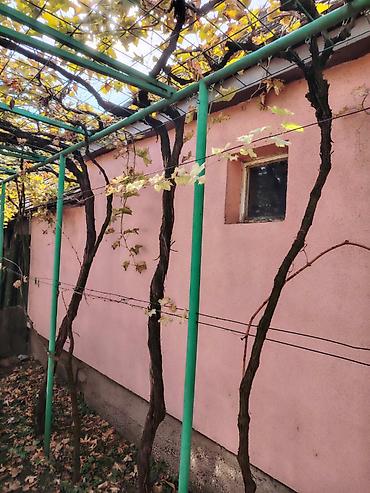 kuce na prodaju beograd: Kuća u Sremskoj Mitrovici, 70m2 Prodajem kuću u Sremskoj Mitrovici u — 5