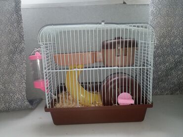 седло для лошади цена: 🐹 Продаю клетку для хомяка — 1500 сом + ПОДАРКИ 🎁 🛠 В хорошем