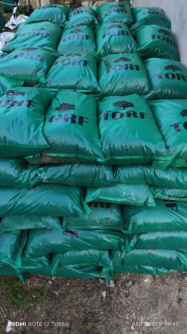 Şitillər: Dekarativ bitgilerin satişi — 19