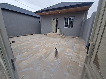 Həyət evləri və villaların satışı: Satılır: həyət evi - Tərtibat: Bir mərtəbəli, ayrıca həyəti olan — 12