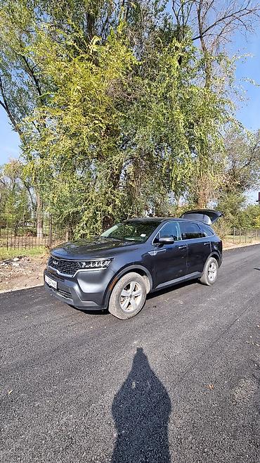 2022: Kia Sorento: 2022 г., 2.5 л, Автомат, Бензин, Кроссовер — 6