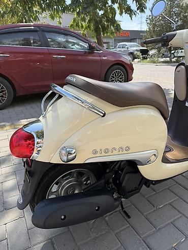сдаю мопед: Мини мопед Honda, 50 куб. см, Бензин, Б/у — 4
