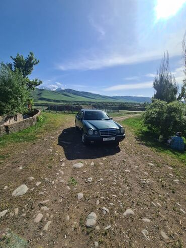 мицубиси спец стар: Mercedes-Benz : 1996 г., 4.2 л, Автомат, Бензин, Седан