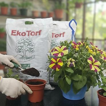 Torf: Məhsul: Münbit torf və gübrə Təsvir: - Bitkilər üçün ideal torpaq — 9