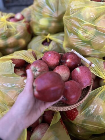 Яблоки: Яблоки Оптом — 2