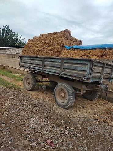 mini traktor satisi azerbaycanda: Ikisinin qiymətidir Kənd təsərrüfatı üçün ikioxlu qoşqu arabası - — 5