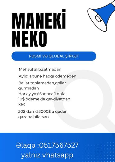 Организация мероприятий: MANEKİ NEKO – rəsmi və qlobal şirkət - Məhsul alıb-satmadan gəlir
