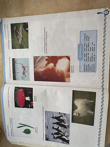 Книги и журналы: Məhsul: Biology I – 7-8 Seriya: Biology Series Nəşr: hazırlanmış dərs — 3