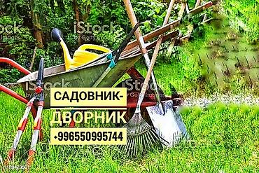 ищу дворника: Ищю работу -садовник,дворник опыт работы больше 7 лет — 1