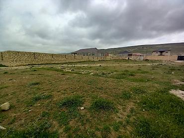 Torpaq sahələrinin satışı: 8 sot, Tikinti, Kupça (Çıxarış) — 4
