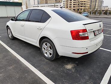octavia: Skoda Octavia: 2018 г., 1.6 л, Автомат, Бензин, Седан — 2