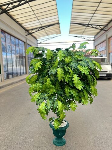 Süni güllər: Daxili və xarici məkanlar üçün nəzərdə tutulmuş süni dekorativ ağac -da lalafo.az — 5 Süni güllər: Daxili və xarici məkanlar üçün nəzərdə tutulmuş süni dekorativ ağac — 5