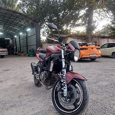 гур стрим: Naked Suzuki, 650 куб. см, Бензин, Взрослый, Б/у — 1