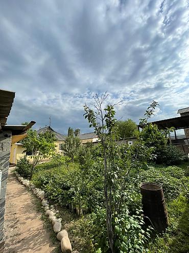 Продажа коттеджей и домов: 🏡 Продается дом в селе Таш-Добо 📍 Улица: Киргизия Характеристики: 📐 — 4