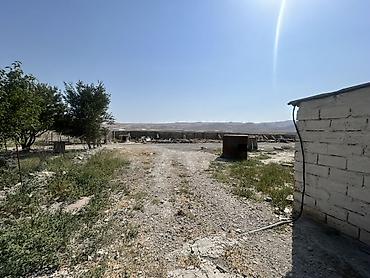 Kommersiya daşınmaz əmlakı: Ferma/Saxlama sahəsi və yardımçı tikililərlə birlikdə həyətyanı ərazi — 3