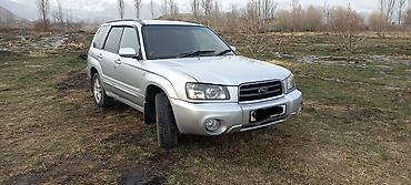 Subaru: Subaru Forester: 2004 г., Автомат, Бензин, Кроссовер — 3