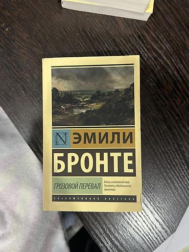 гроза: Набор художественных книг зарубежной классики на русском языке В — 6