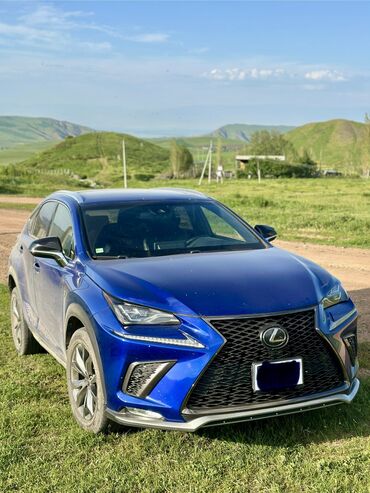 lexus 200 авто: Lexus NX: 2018 г., 2 л, Автомат, Бензин, Внедорожник