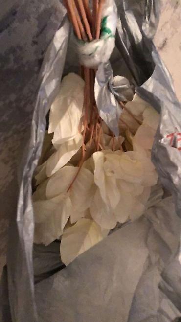 Фотобутофория: Неоновая композиция для предложения/помолвки “I SAID YES” - Световой — 2