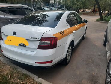 машина дамас: Skoda Octavia: 2014 г., 1.6 л, Типтроник, Бензин, Хэтчбэк