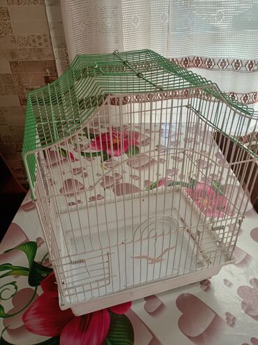 quw qefesi: Quş qəfəsi - Material: metal barmaqlıqlar, plastik altlıq - Rəng: ağ