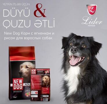 hot dog: New dog 15kq Quzulu duyulu it yemi