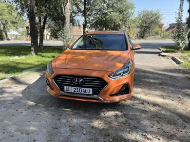 шевролет трекр: Hyundai Sonata: 2018 г., 2 л, Автомат, Газ, Седан