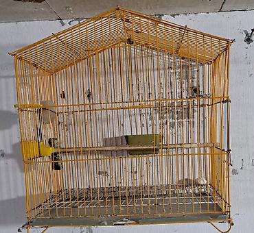 Qəfəslər: Quş qəfəsləri və volyerlər dəsti - Böyük metal volyer: möhkəm məftil — 3